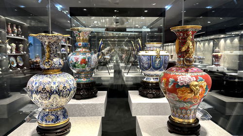 非遺技藝 智慧家居 運河文化,在這里共繪發(fā)展新篇